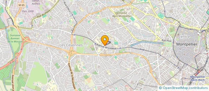 localisation de l'entreprise COMITE DEPART DE L HERAULT DE TENNIS à MONTPELLIER