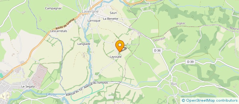 localisation de l'entreprise COMITE DEPART LOT DE BADMINTON  LAVERGNE