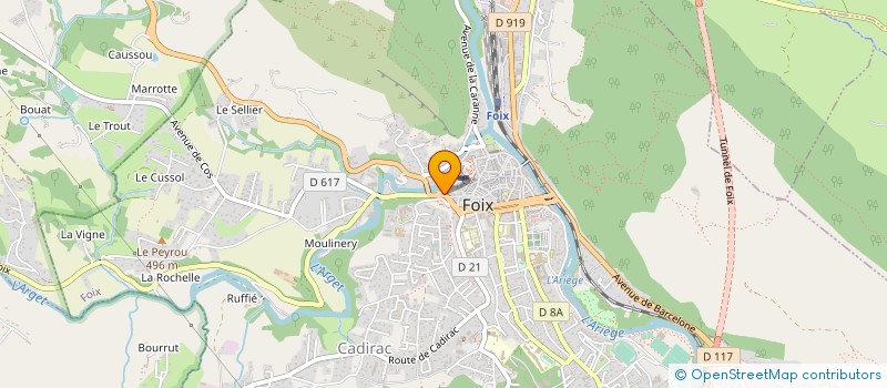 localisation de l'entreprise COMITE DEPART MEDAILLES JEUNESSE & SPORT à FOIX