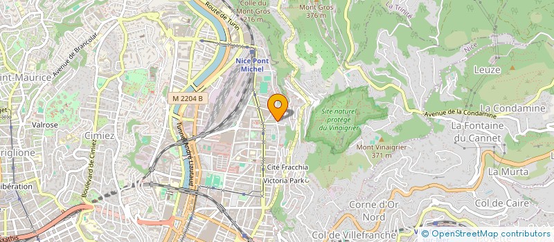 localisation de l'entreprise COMITE DEPARTEMENTAL DE PARACHUTISME DES ALPES MARITIMES à NICE
