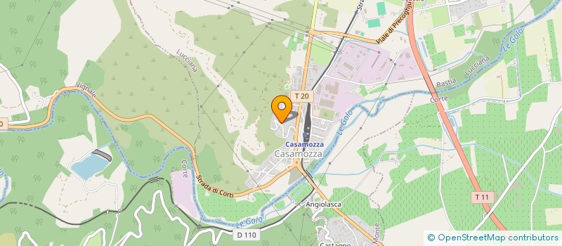 localisation de l'entreprise COMITE DEPARTEMENTAL DE SAUVETAGE ET DE SECOURISME DE HAUTE-CORSE à LUCCIANA