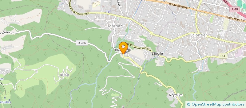 localisation de l'entreprise COMITE DEPARTEMENTAL DES JEUX D'ECHECS DE HAUTE SAVOIE à ANNECY