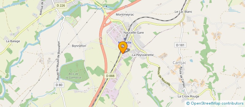 localisation de l'entreprise COMITE DEPARTEMENTAL DU JEU D ECHECS DE L AVEYRON -C.D.J.E.12-  NAUCELLE