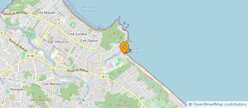 localisation de l'entreprise COMITE DEPARTEMENTAL FFSS DE GUYANE  CAYENNE