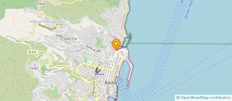 localisation de l'entreprise COMITE DEPARTEMENTAL OLYMPIQUE ET SPORTIF DE LA HAUTE CORSE à BASTIA