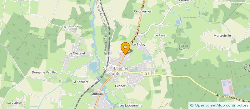 localisation de l'entreprise COMITE DEPARTEMENTAL SPORTS POUR TOUS DE L'AIN à SAINT-ETIENNE-DU-BOIS