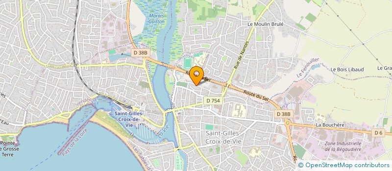localisation de l'entreprise COMITE DEPARTEMENTAL VENDEE SURF à SAINT-GILLES-CROIX-DE-VIE