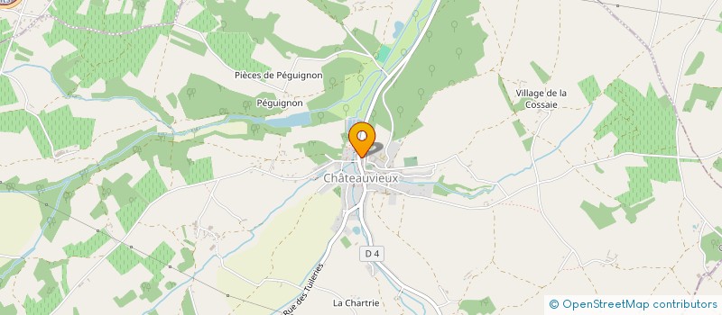 localisation de l'entreprise COMITE DES FETES  CHATEAUVIEUX