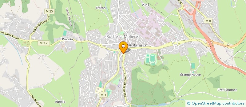 localisation de l'entreprise COMITE DES FETES  ROCHE-LA-MOLIERE