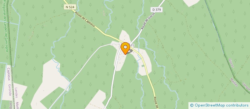 localisation de l'entreprise COMITE DES FETES  SARBAZAN