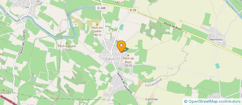 localisation de l'entreprise COMITE DES FETES  CAUX-ET-SAUZENS