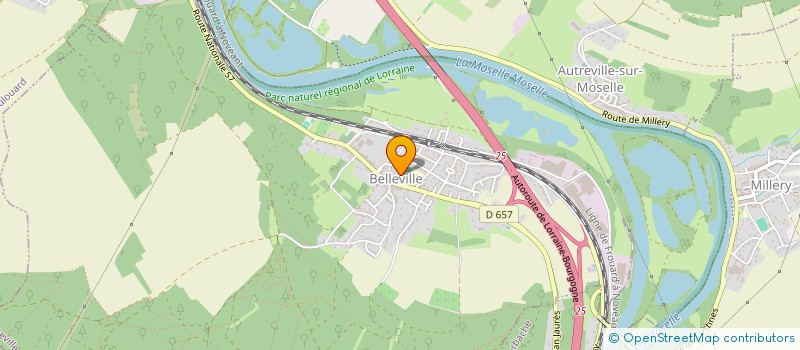 localisation de l'entreprise COMITE DES FETES DE BELLEVILLE  BELLEVILLE