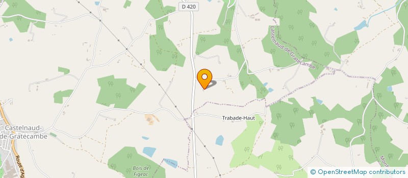 localisation de l'entreprise COMITE DES FETES DE CASTELNAUD  CASTELNAUD-DE-GRATECAMBE
