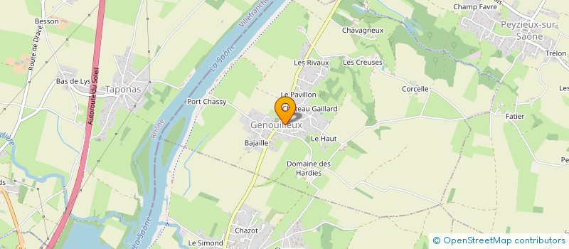 localisation de l'entreprise COMITE DES FETES DE GENOUILLEUX à FRANCHELEINS