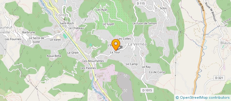 localisation de l'entreprise COMITE DES FETES DE LA VERNEA DE CONTES, DES ARTS ET DES SPORTS à CONTES