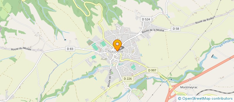 localisation de l'entreprise COMITE DES FETES DE LA VILLE DE NAUCELLE  NAUCELLE