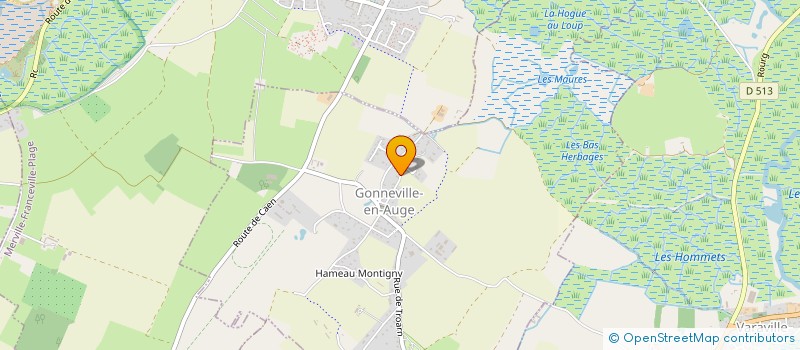 localisation de l'entreprise COMITE DES FETES DE MERVILLE FRANCEVILLE  MERVILLE-FRANCEVILLE-PLAGE