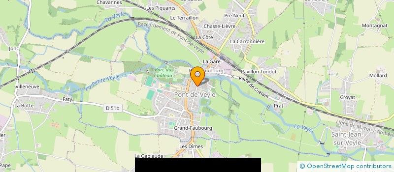 localisation de l'entreprise COMITE DES FETES DE PONT DE VEYLE  PONT-DE-VEYLE