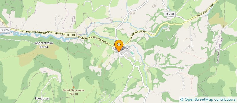 localisation de l'entreprise COMITE DES FETES DE SAUGUIS  SAUGUIS-SAINT-ETIENNE