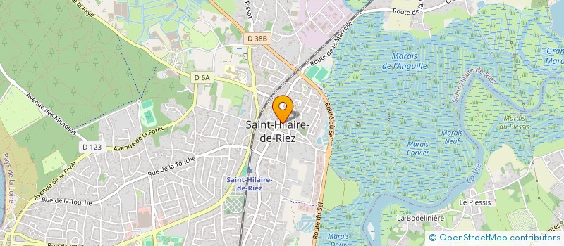 localisation de l'entreprise COMITE DES FETES DU CENTRE VILLE  SAINT-HILAIRE-DE-RIEZ