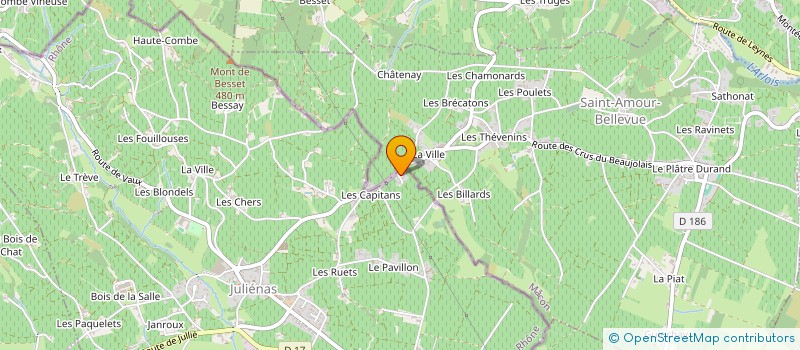 localisation de l'entreprise COMITE DES FETES ET D'ANIMATIONS DE JULIENAS  JULIENAS