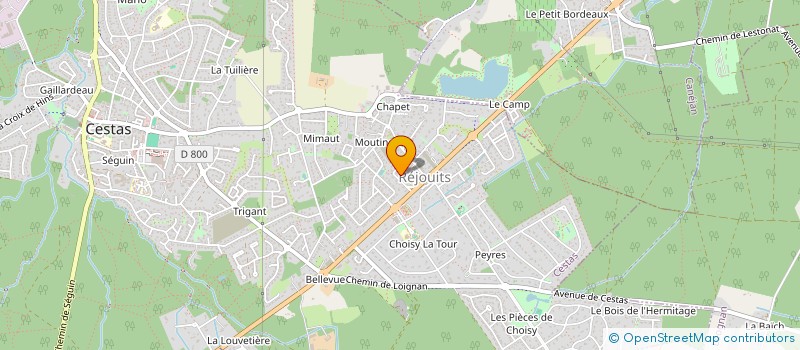 localisation de l'entreprise COMITE DES FETES ET DE BIENFAISANCE DE REJOUIT-BELLEVUE à CESTAS