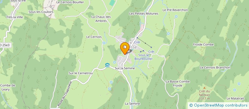 localisation de l'entreprise COMITE DES FETES ET DE LA CULTURE DE LA PESSE  LA PESSE