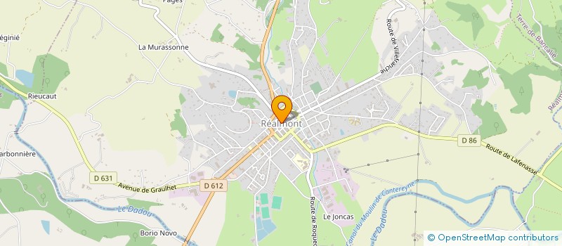 localisation de l'entreprise COMITE DES FETES ET DE LA FOIRE AGRICOLE à REALMONT