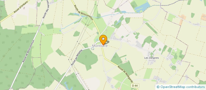 localisation de l'entreprise COMITE DES FETES ET DES LOISIRS DE MONTLIARD à MONTLIARD