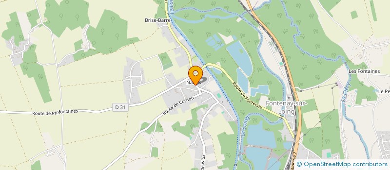 localisation de l'entreprise COMITE DES FETES ET DES LOISIRS DE NARGIS à NARGIS