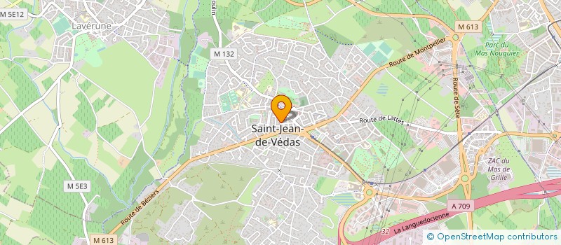 localisation de l'entreprise COMITE DES FETES L AVENIR à SAINT-JEAN-DE-VEDAS