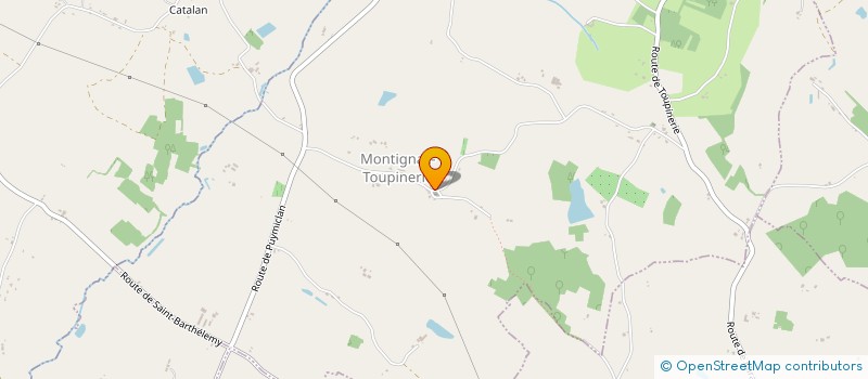 localisation de l'entreprise COMITE DES FETES MONTIGNACAIS  MONTIGNAC-TOUPINERIE