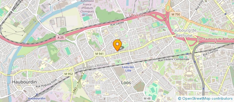 localisation de l'entreprise COMITE DES FLANDRES DE BRIDGE  LOOS