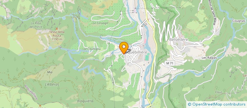 localisation de l'entreprise COMITE DES TRADITIONS DE ROQUEBILLIERE  ROQUEBILLIERE