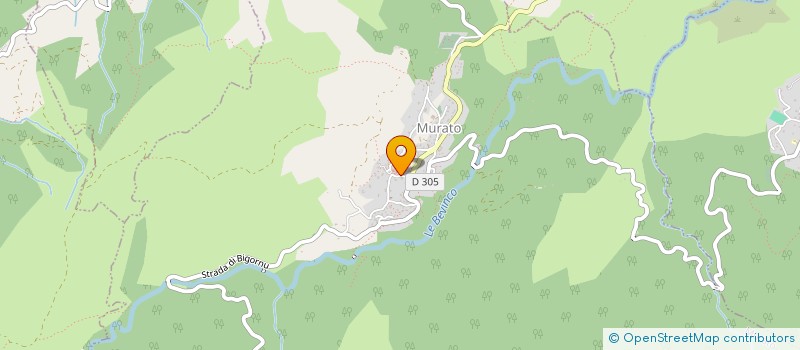 localisation de l'entreprise COMITE DEVELOPPEMENT DU NEBBIU à MURATO