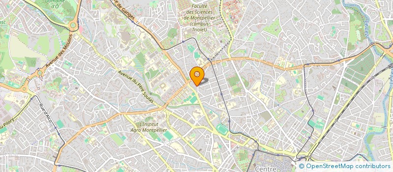 localisation de l'entreprise COMITE DU CARNAVAL CARIBEEN DE MONTPELLIER à MONTPELLIER