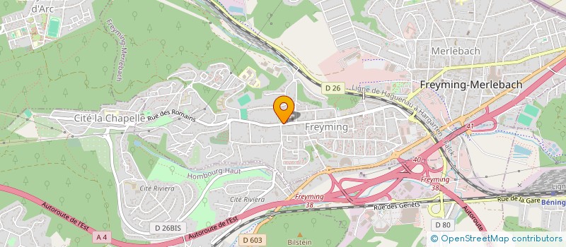 localisation de l'entreprise COMITE DU FOYER SAINT MAURICE  FREYMING MERLEBACH