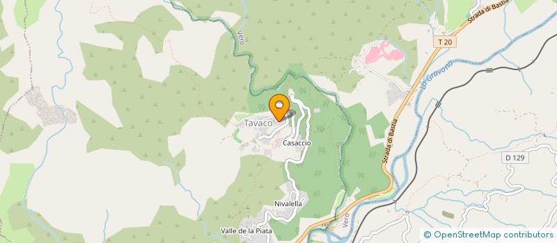 localisation de l'entreprise COMITE FEUX DE FORETS I SINTINEDDI GRAVUNINCHI à TAVACO
