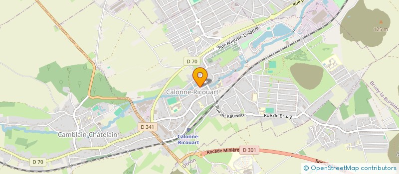 localisation de l'entreprise COMITE LOCAL ACPG-CATM-TOE ET VEUVES DE CALONNE-RICOUART  CALONNE-RICOUART