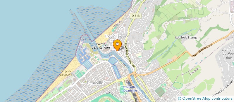 localisation de l'entreprise COMITE LOCAL PECHES MARIT ELEVAGES MARIN  TROUVILLE-SUR-MER