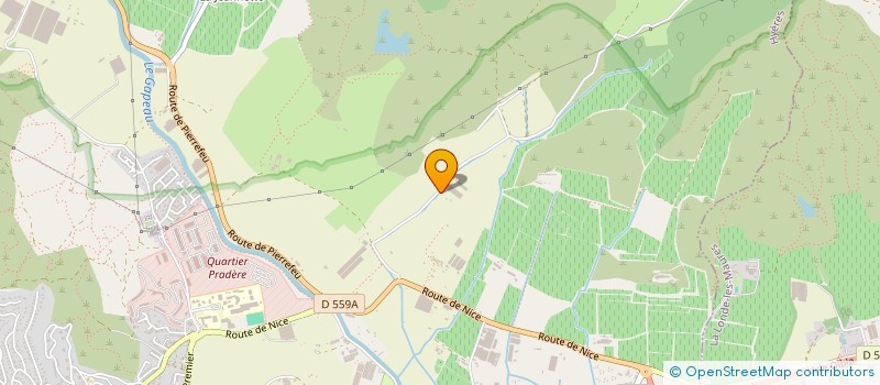 localisation de l'entreprise COMITE MISS RONDE COTE D AZUR à HYERES