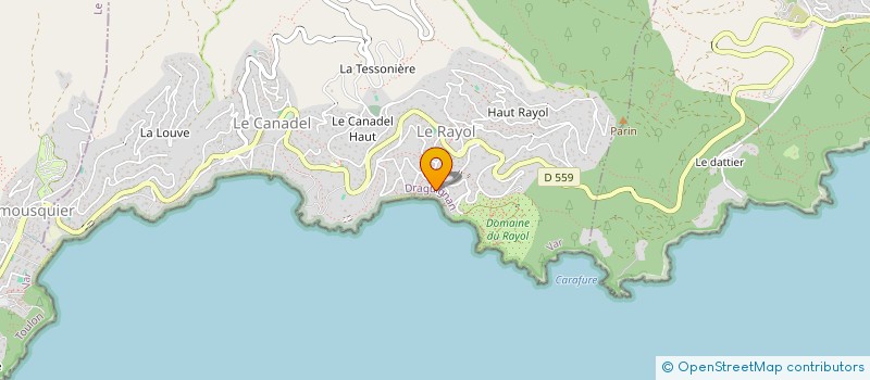 localisation de l'entreprise COMITE OFFICIEL DES FETES à RAYOL-CANADEL-SUR-MER