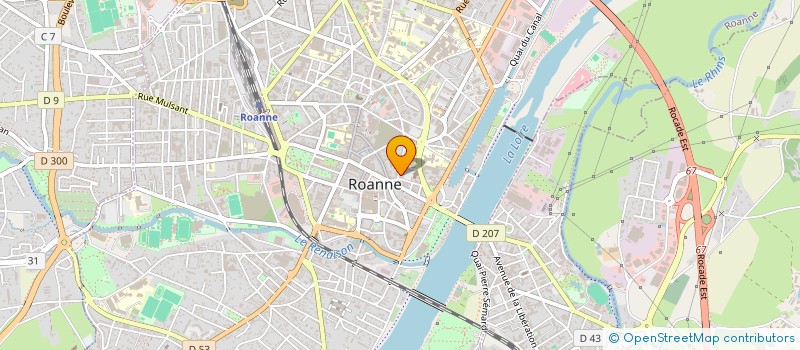 localisation de l'entreprise COMITE ORGANIS PROMO ECONOM REGIO ROANNE  ROANNE