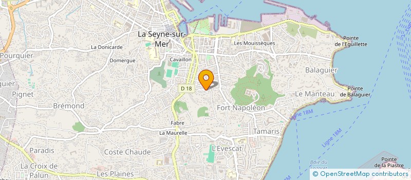 localisation de l'entreprise COMITE SE SURVIE DE LA BAIE DU LAZARET à LA SEYNE SUR MER