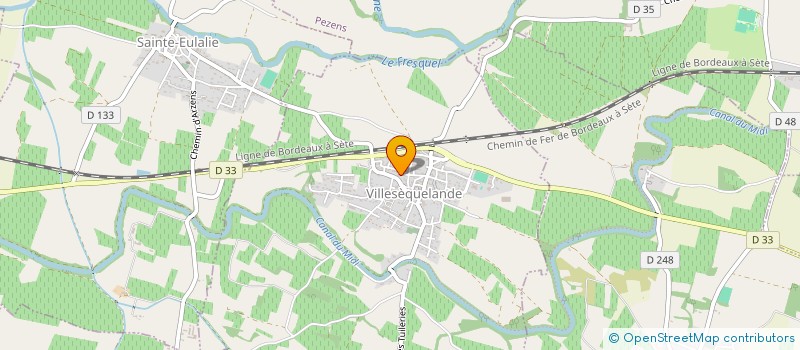 localisation de l'entreprise COMME CHIENS ET CHATS  MOUSSOULENS