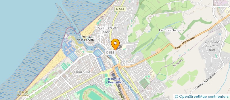 localisation de l'entreprise COMMISSION NORMANDE DES CHEVAUX TERRITORIAUX à TROUVILLE-SUR-MER