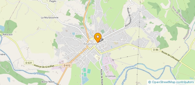 localisation de l'entreprise COMMUNAUTE DE COMMUNES CENTRE TARN à REALMONT