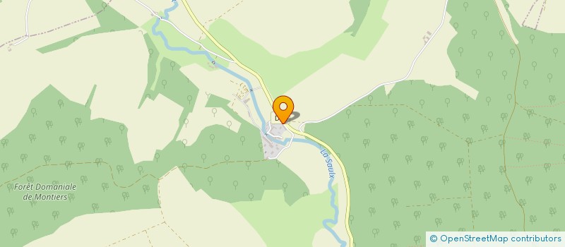 localisation de l'entreprise COMMUNAUTE DE COMMUNES DES PORTES DE MEUSE à MONTIERS-SUR-SAULX
