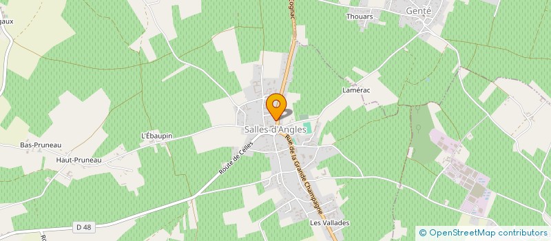 localisation de l'entreprise COMMUNAUTE DE PROFESSIONNELS TERRITORIAUX DE SANTE DU COGNACAIS  SALLES-D'ANGLES