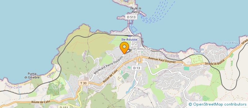 localisation de l'entreprise COMMUNAUTE PROFESSIONNELLE TERRITORIALE DE SANTE DE BALAGNE à L'ILE-ROUSSE